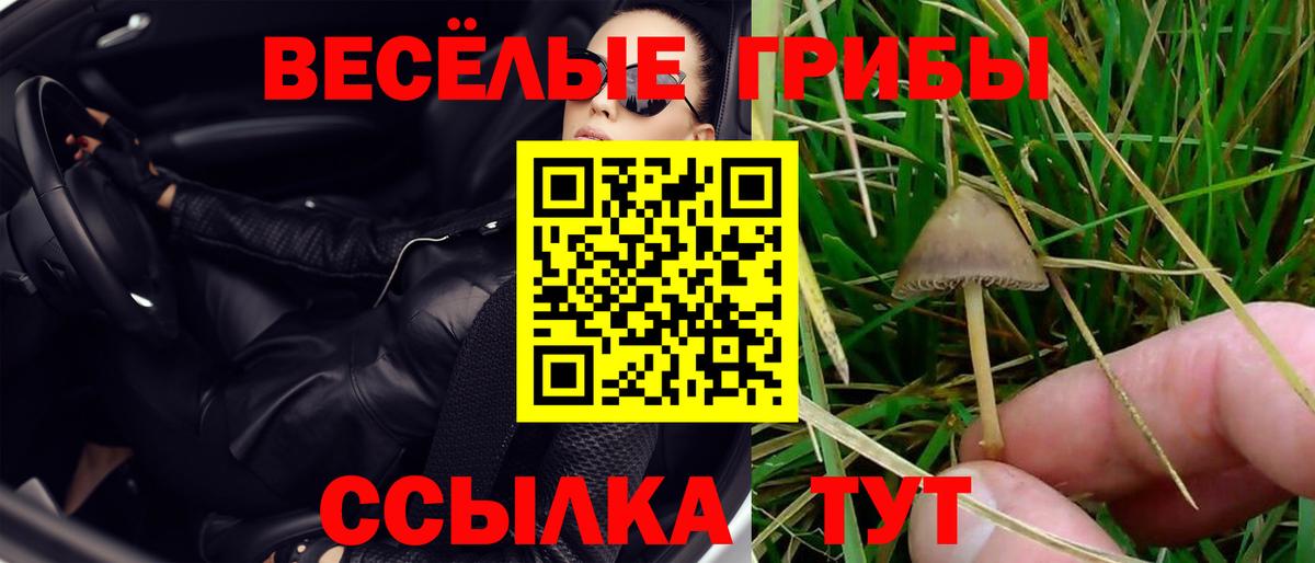 Галлюциногенные грибы Magic Shrooms  продажа наркотиков  Новосибирск  Вход с VPN 